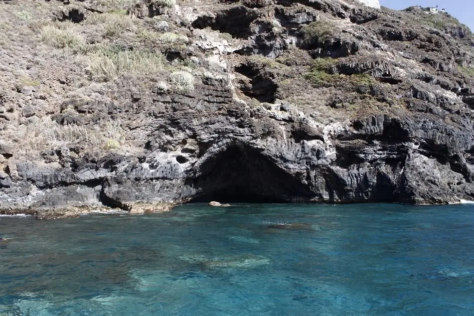 Rojas (Costa del Sauzal)