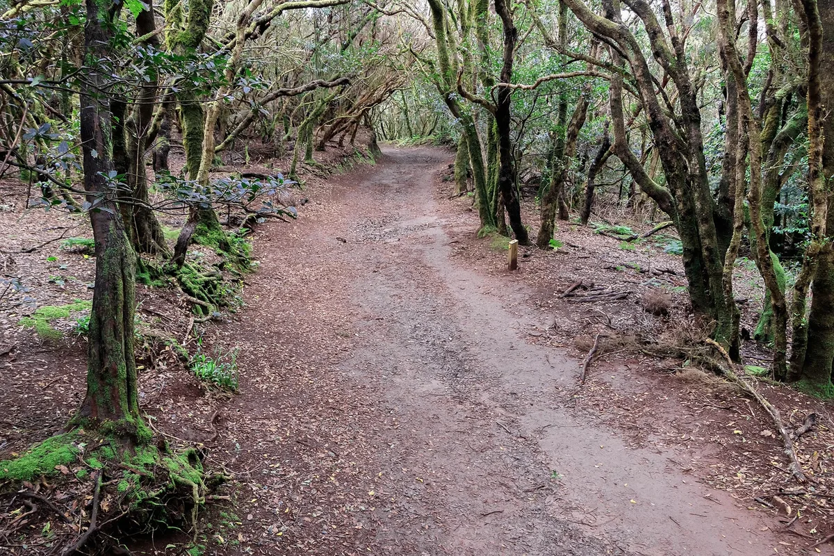 Sendero de los Sentidos