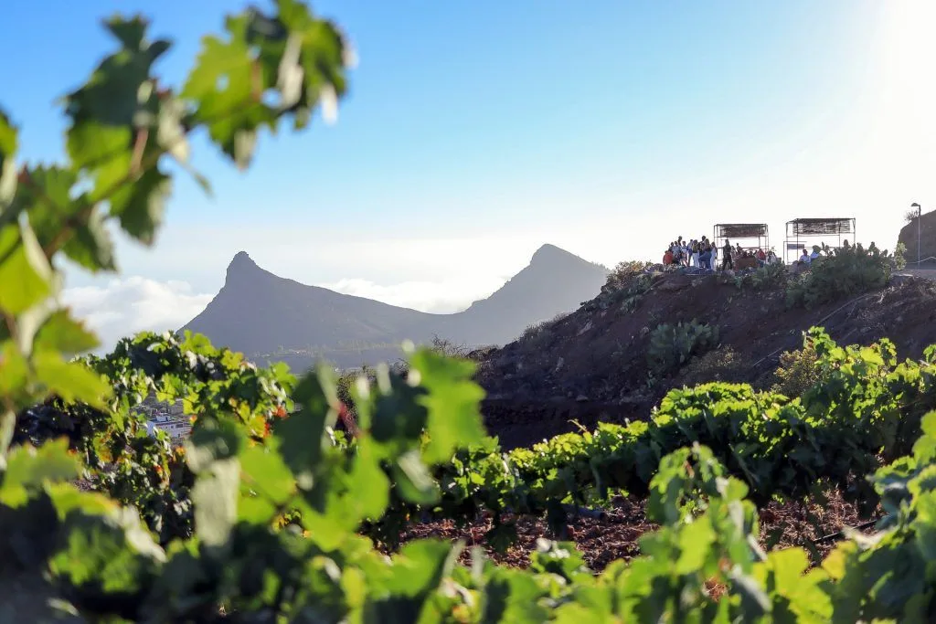 Finca Tres Roques