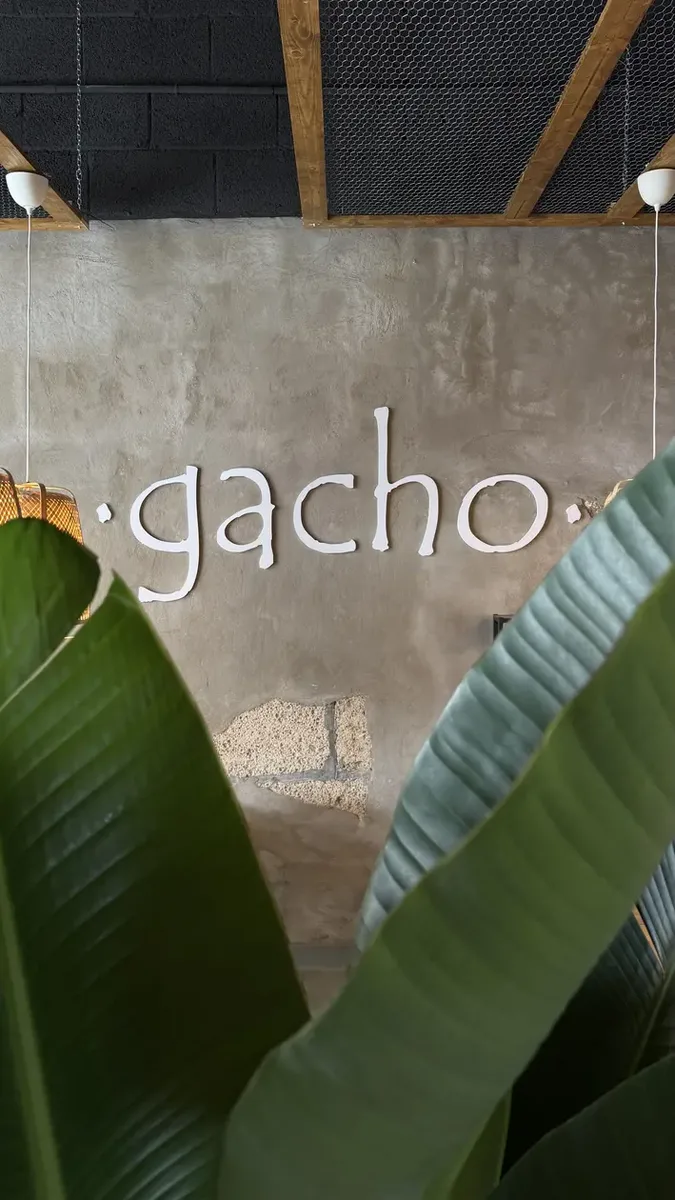 gacho