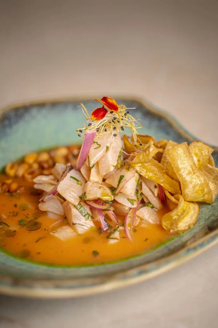 Ceviche N1